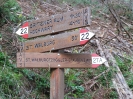 Spitzner Alm_1